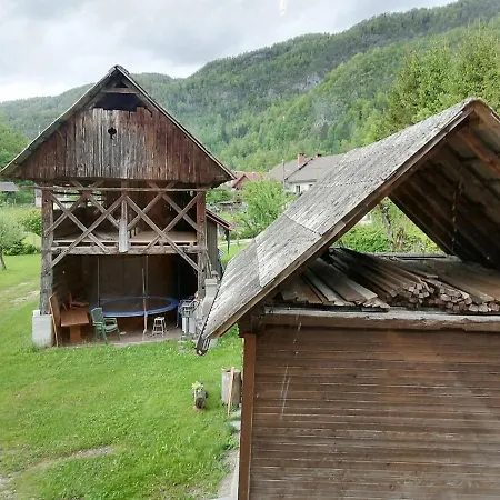 Apartment House Andrej Bohinj Exterior foto