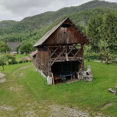 Apartment House Andrej Bohinj Exterior foto