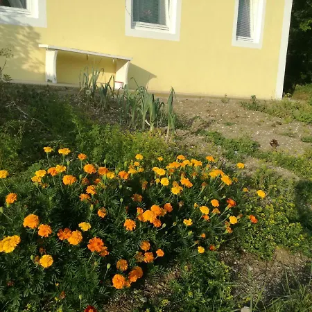 Apartment House Andrej Bohinj Exterior foto