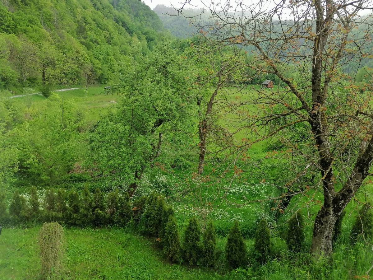 House Andrej