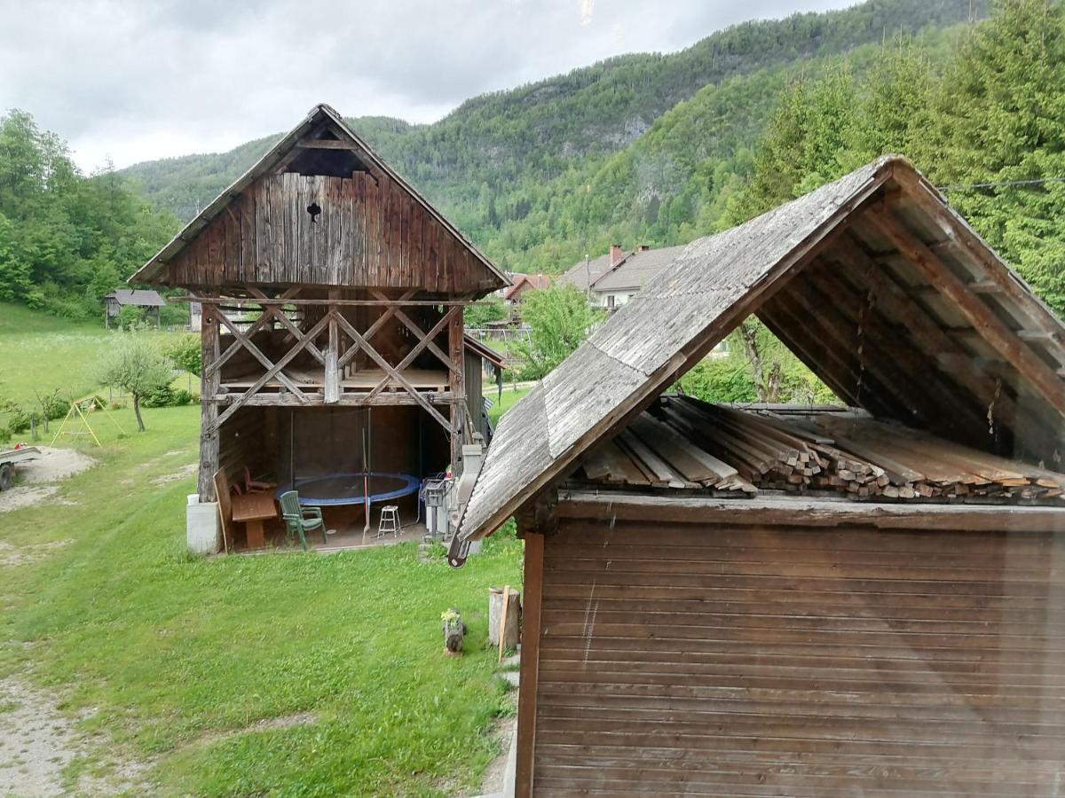 House Andrej Apartment Bohinj