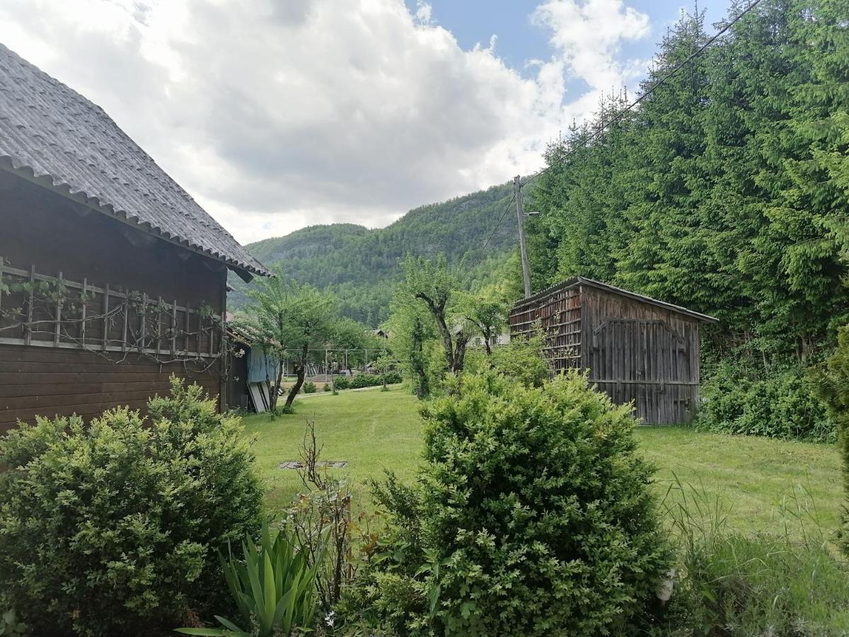 Apartment House Andrej Bohinj
