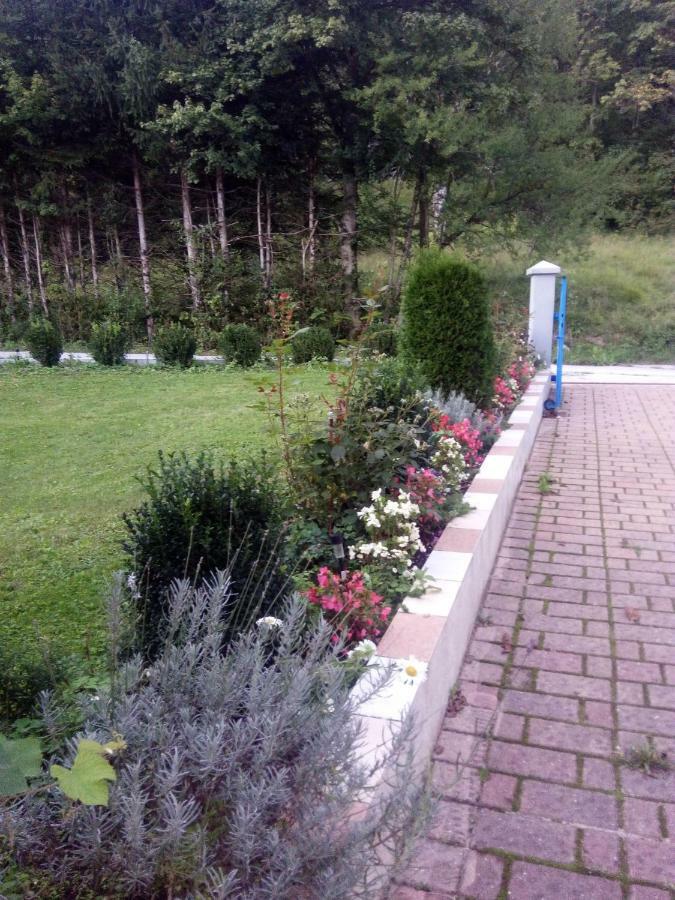 House Andrej Apartment *