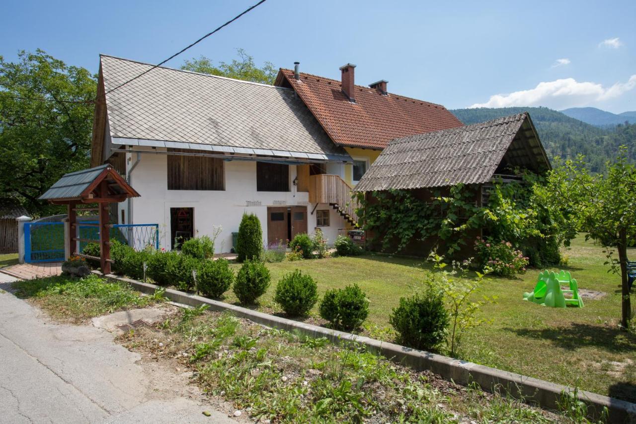 Apartment House Andrej Bohinj
